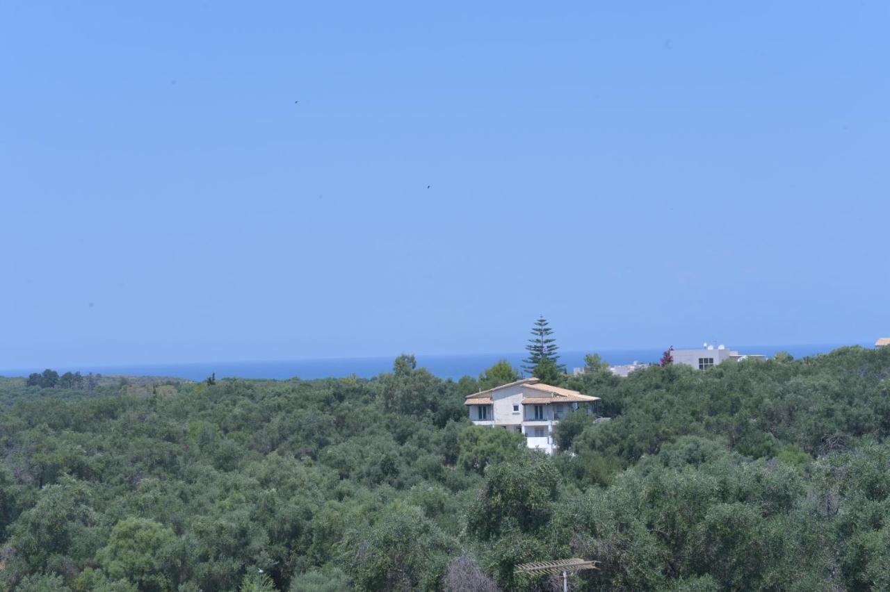 Villa Eleni Peritheia Agios Spyridon  Esterno foto
